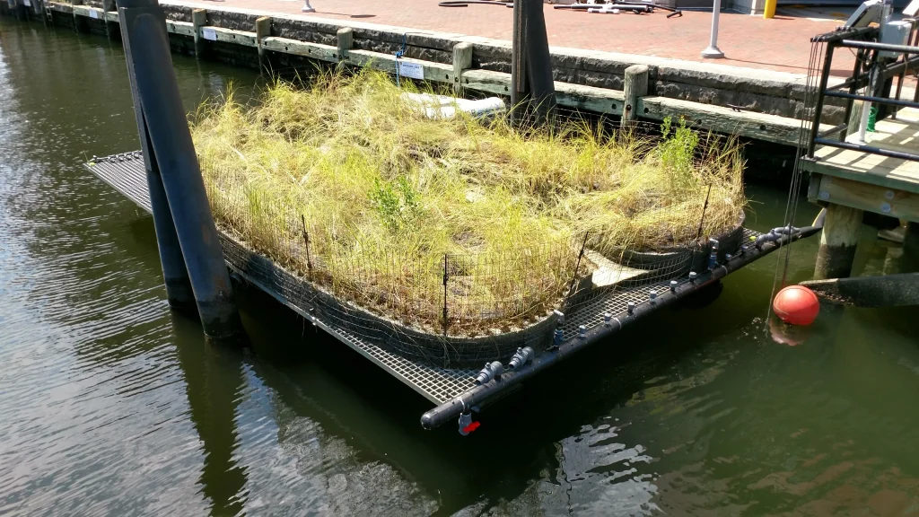 HDPE Elevates Sustainability Factor for Baltimore’s National Aquarium Wetlands Project